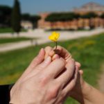 アドラーから復縁に必要な心理学を学ぶ!元カレとやり直すために必要な事をアドラー理論で徹底解明