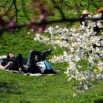 お花見は復縁のビッグチャンス!上手な誘い方・おすすめの服装・デートのコツすべて紹介!