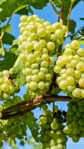 本当に確実に復縁できる待ち受け画像 実は効かない待ち受け総まとめ 22年版 復縁占いカフェ